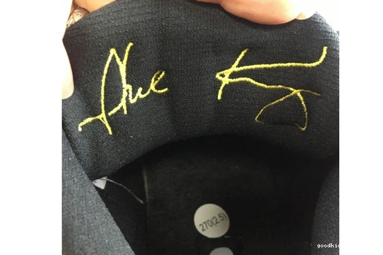 Jordan Oregon Retro Air 3 AJ3-902027 AJ3-902027 Duck 0410